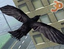 3D Online Kuşlar