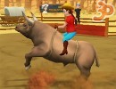 3D Rodeo