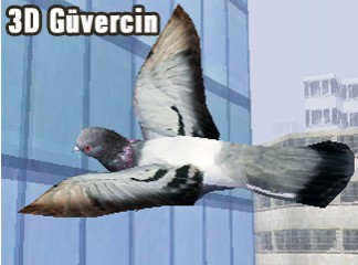 3D Güvercin