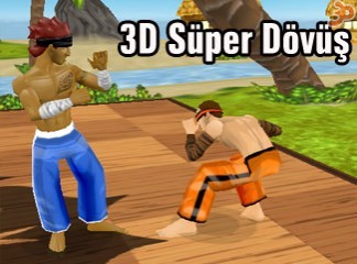 3D Süper Dövüş