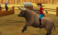 3D Rodeo