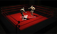The Wrestling Game